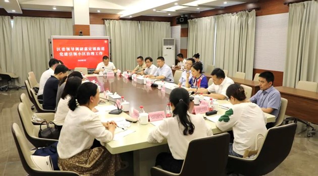 区领导至嘉定镇街道开展党建引领小区治理工作专题调研